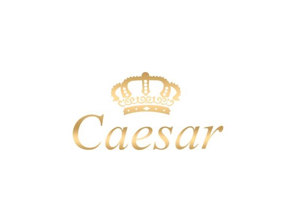 Caesar Blackout Edition 700 Puffs