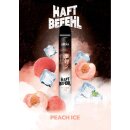 Haftbefehl 700 Einweg E-Zigarette Peach ICE