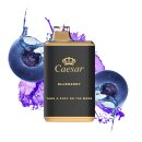 Caesar Blackout Edition 700 Puffs - Blueberry