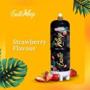 Exotic Whip N2O Flasche 640 g Strawberry Flavour