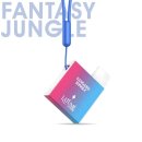 LA FUME Cuatro – Fantasy Jungle